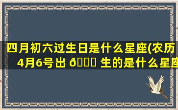 四月初六过生日是什么星座(农历4月6号出 🐕 生的是什么星座)